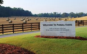 Pursell Farms